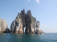  width: 100%; height : 150px