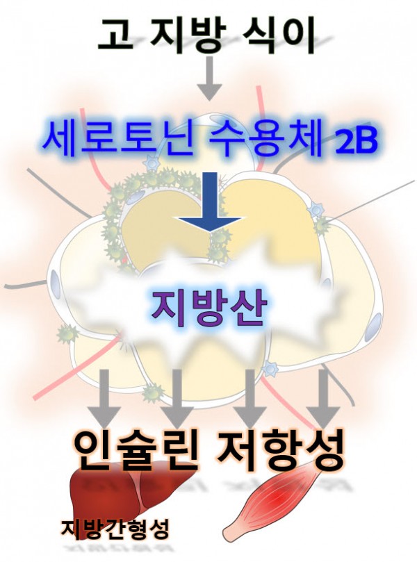 e4f326cdaee39211d3c715133afaa03f_1633991371_59.jpg