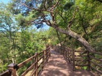  width: 100%; height : 150px