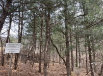  width: 100%; height : 150px