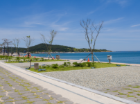  width: 100%; height : 150px