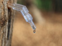  width: 100%; height : 150px
