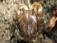  width: 100%; height : 150px