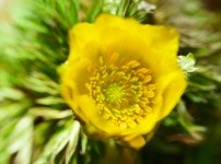  width: 100%; height : 150px