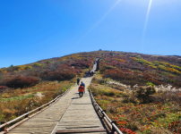  width: 100%; height : 150px