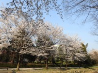  width: 100%; height : 150px