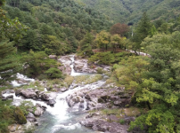  width: 100%; height : 150px