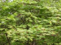  width: 100%; height : 150px