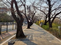  width: 100%; height : 150px