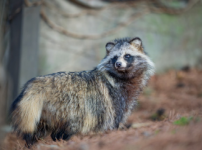  width: 100%; height : 150px