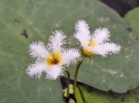 width: 100%; height : 150px